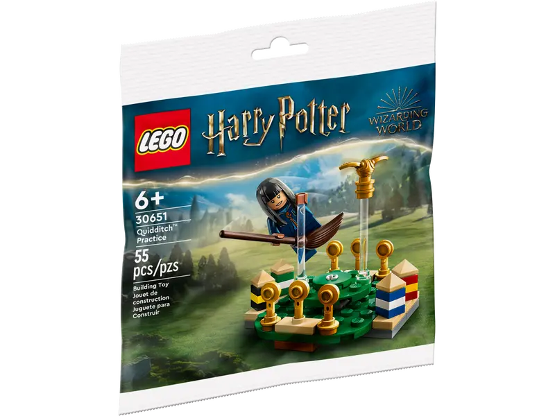 LEGO 30651 L’entraînement de Quidditch™ 