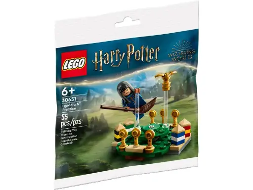 LEGO 30651 L’entraînement de Quidditch™ 